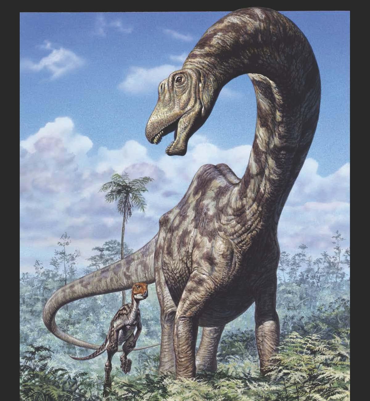 Apatosaurus