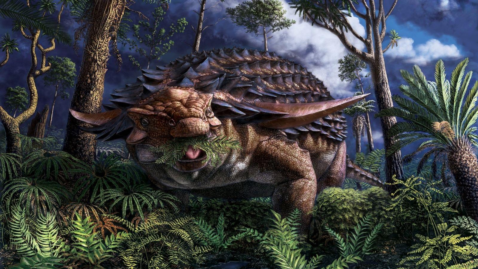 Ankylosaurus